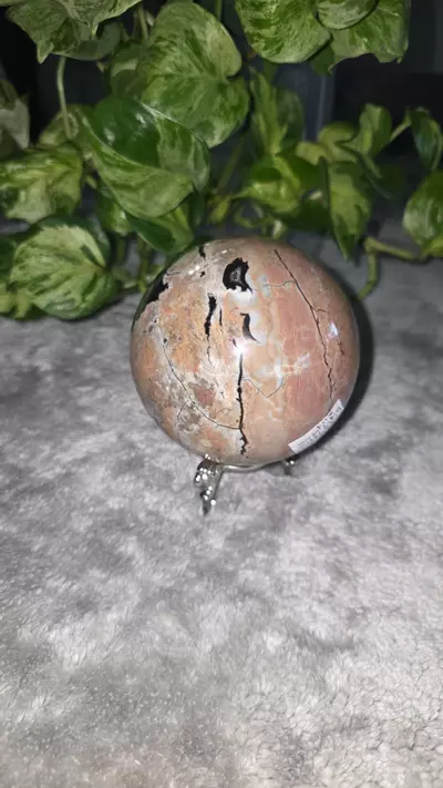 plant/3lb Volcano Agate Sphere ✨️🛸-5-thumbnail