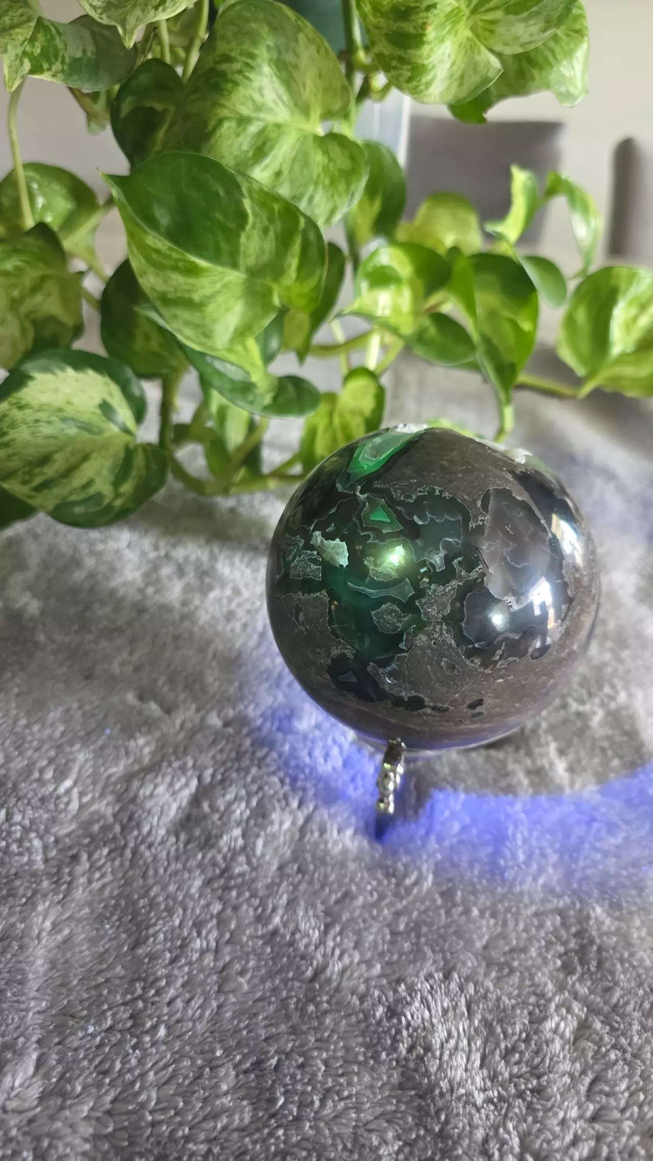 plant/2lb 3oz Druzy Volcano Agate Sphere 🛸-1