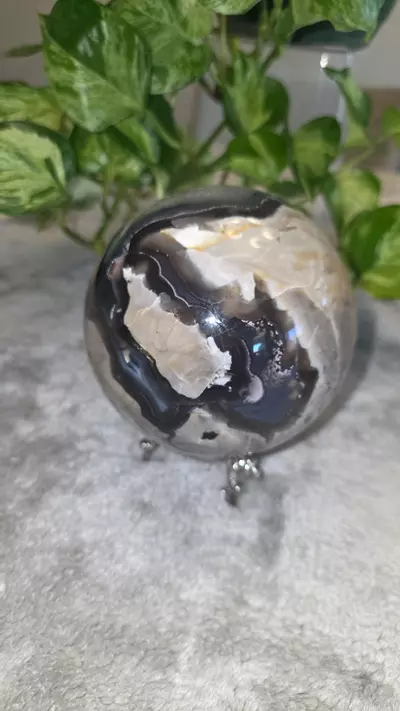 plant/4lb 4.9 oz Volcano Agate Sphere 🛸-2-thumbnail