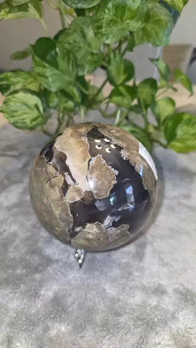 plant/5lb Volcano Agate Sphere 🛸✨️-8-thumbnail