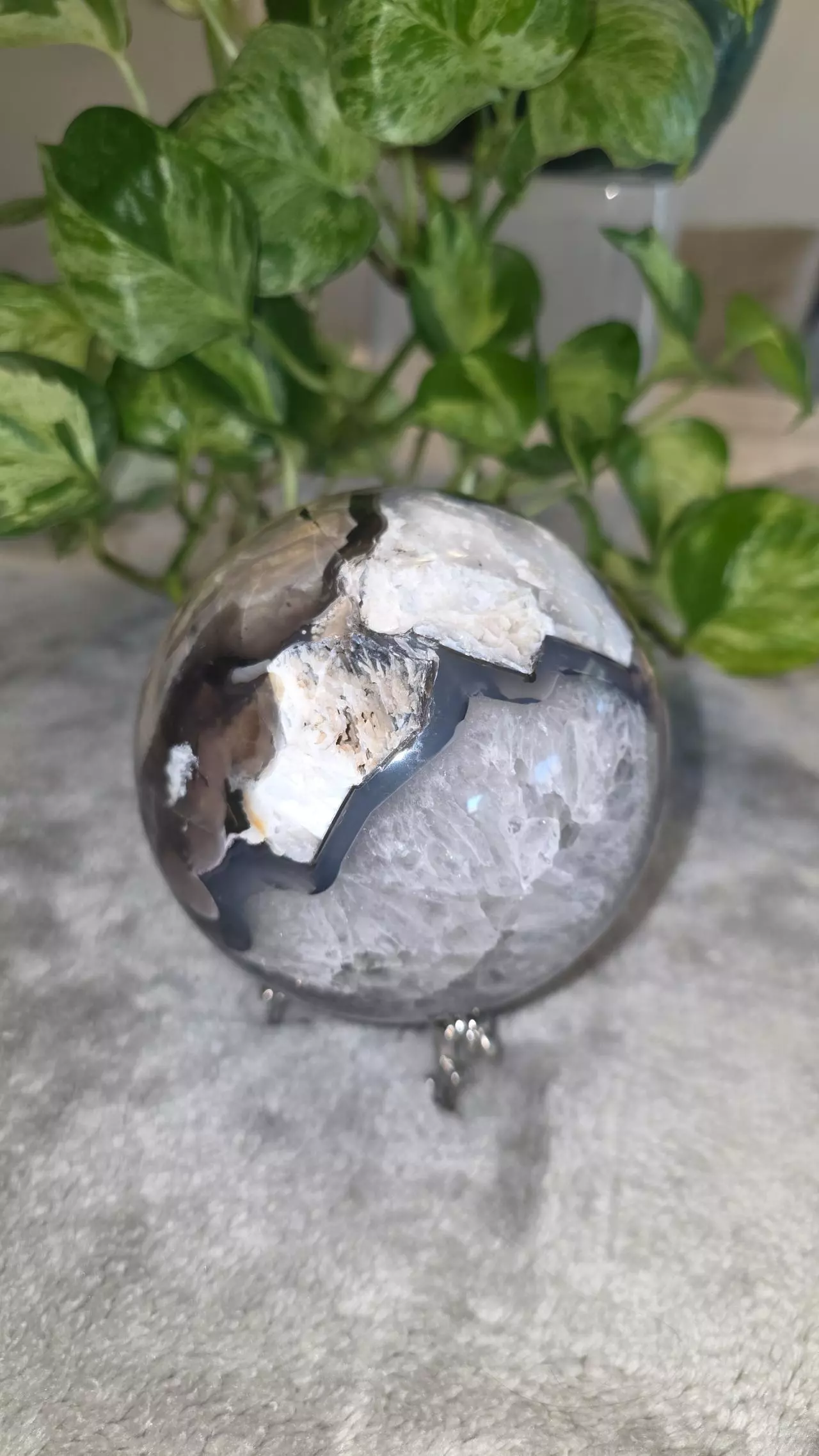 plant/4lb 4.9 oz Volcano Agate Sphere 🛸-1