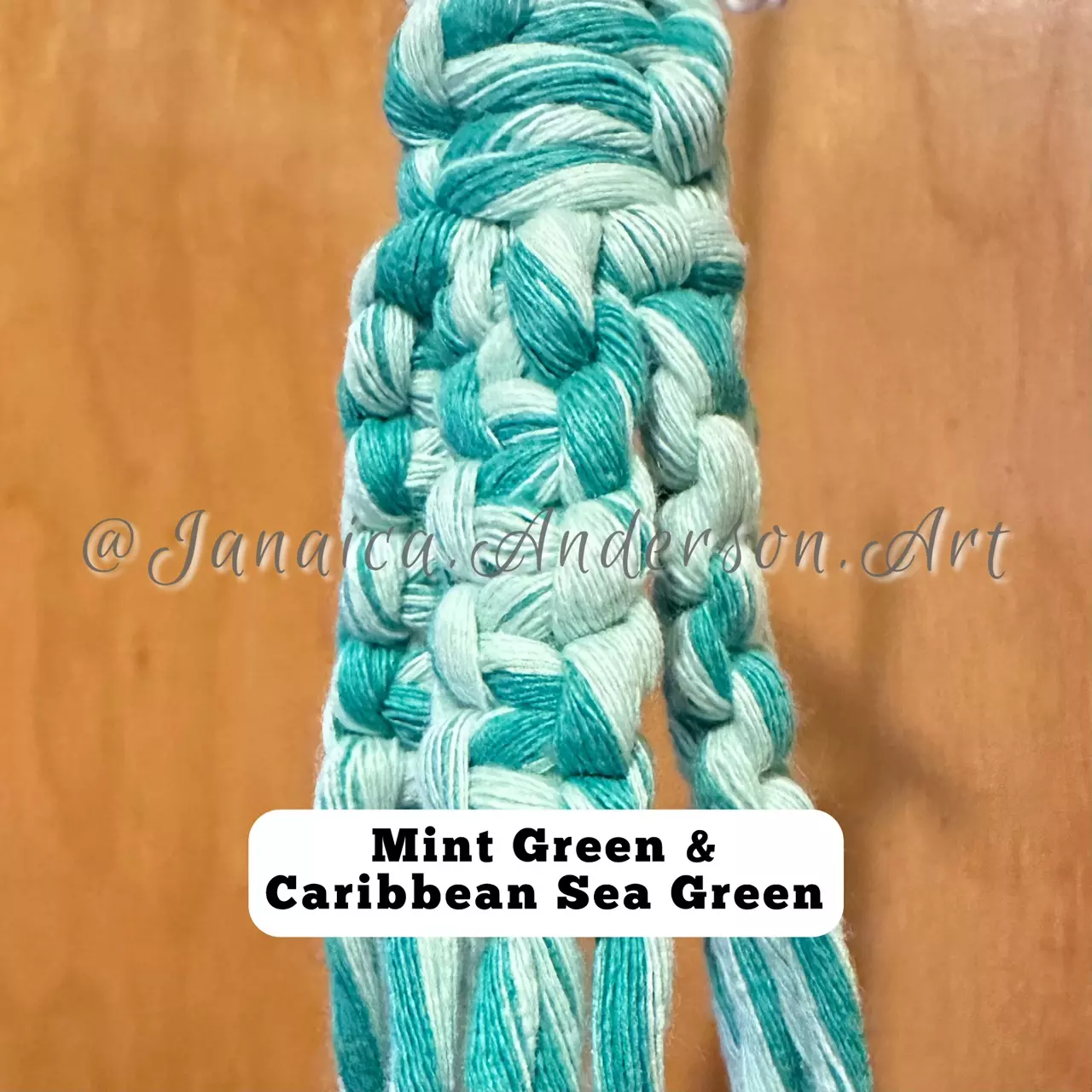 plant/Macramé Plant Hanger-Small No.48-1