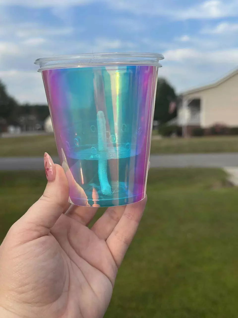 plant/9oz Iridescent Self Watering Setup-1