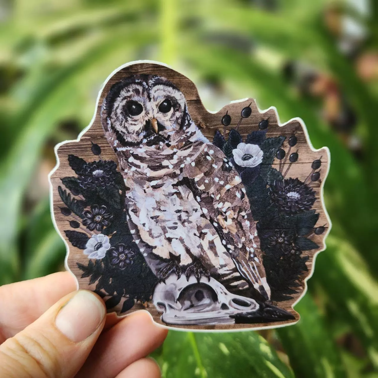 plant/Owl and Bones Vinyl Sticker-0