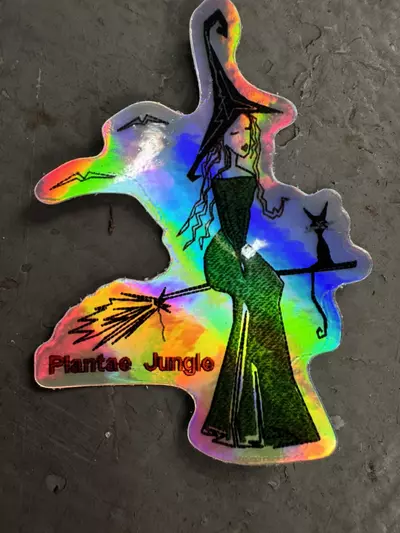 free_shipping/Witch with cat - plantae jungle embroidery inspired-0-thumbnail