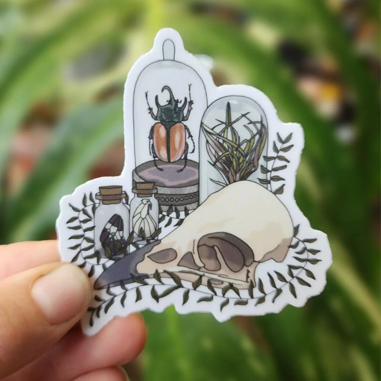 plant/Oddities Vinyl Sticker-0