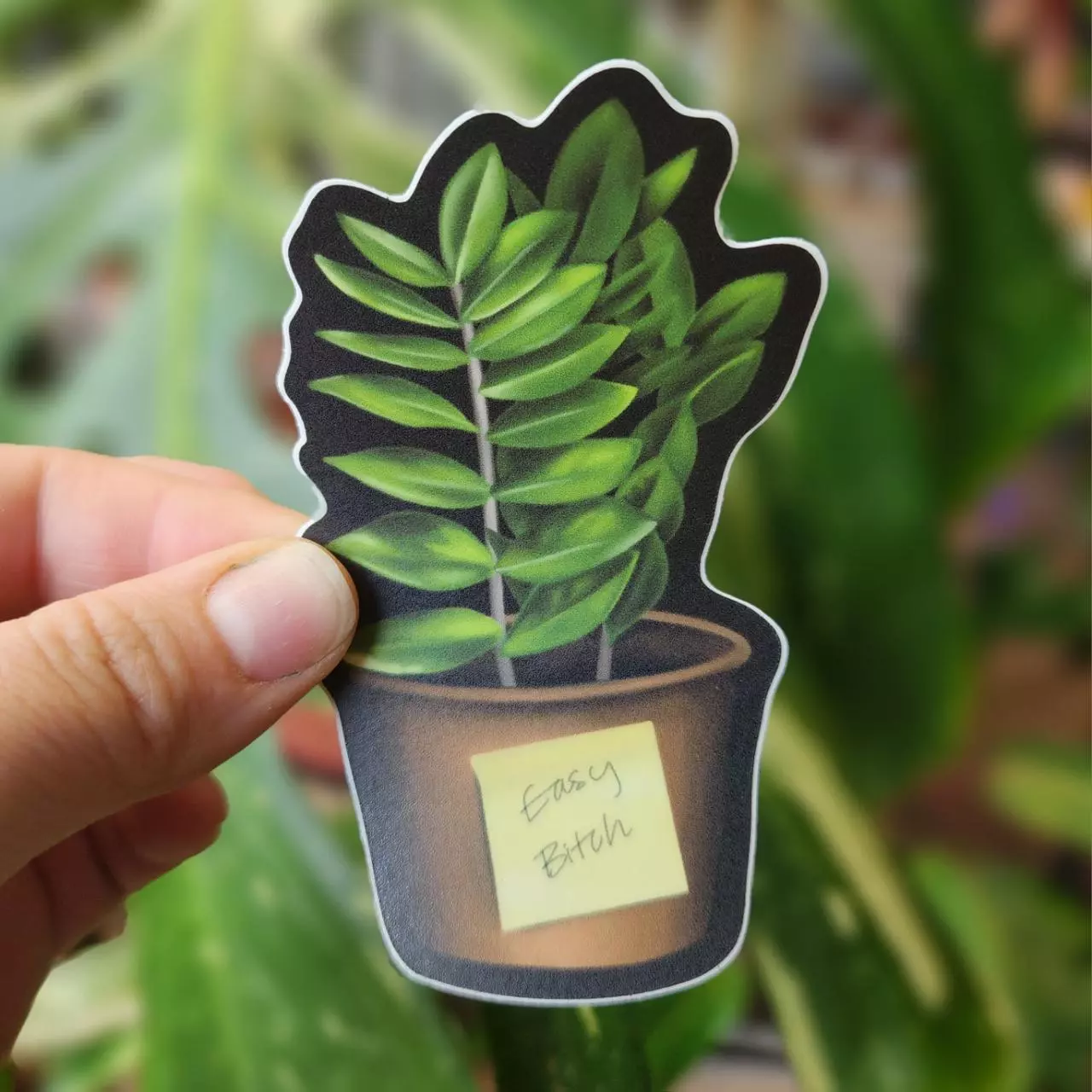 plant/ZZ Plant Vinyl Sticker-0