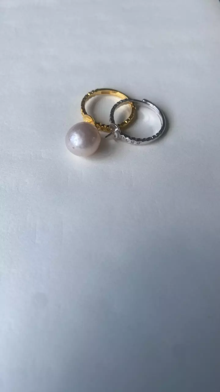 plant/Ring accessories-1