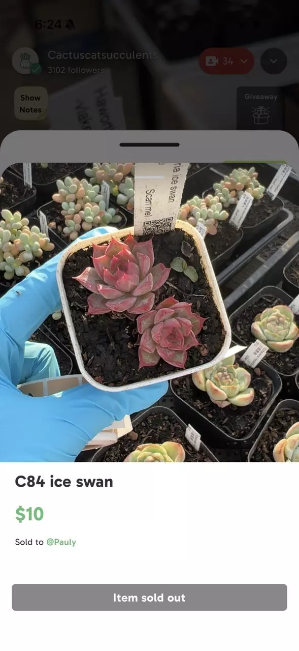 plant/Bundle for purrrlite-1
