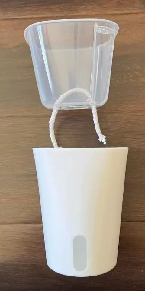 plant/Reserved for Houseplantatelier white SWP 3”(20) and 4”(20)-0