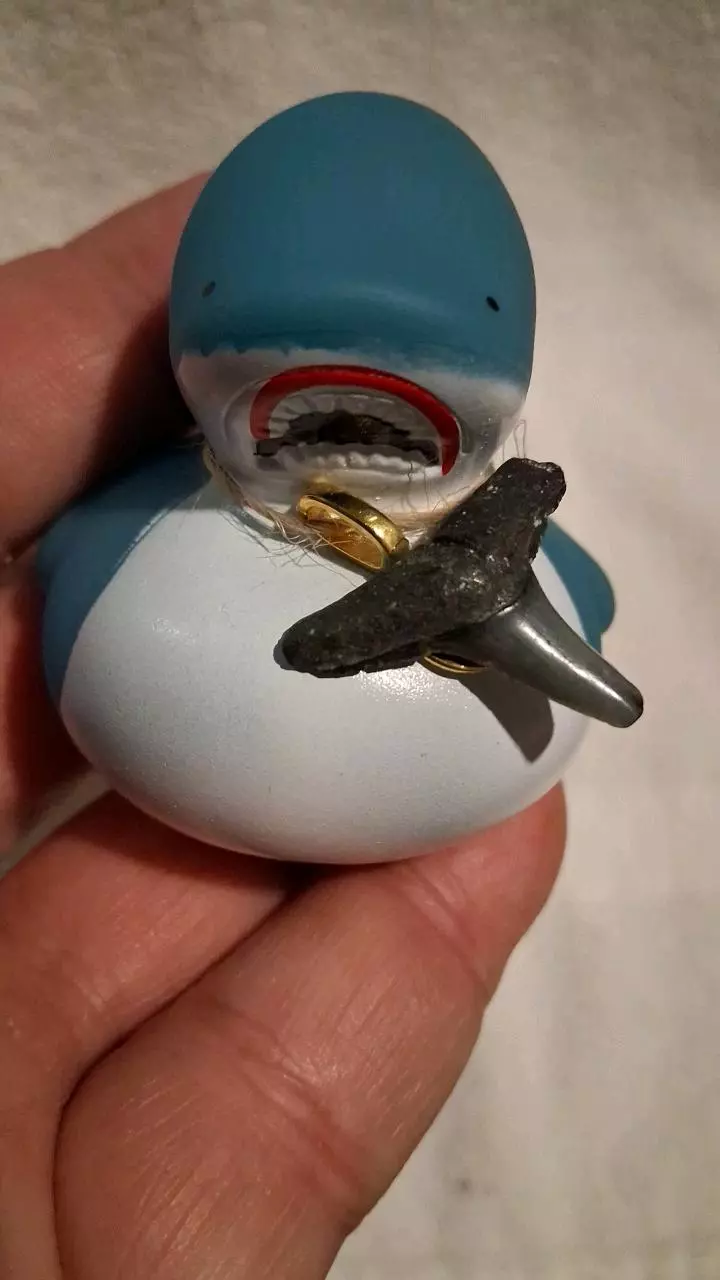 free_shipping/Shark rubber Ducky-0