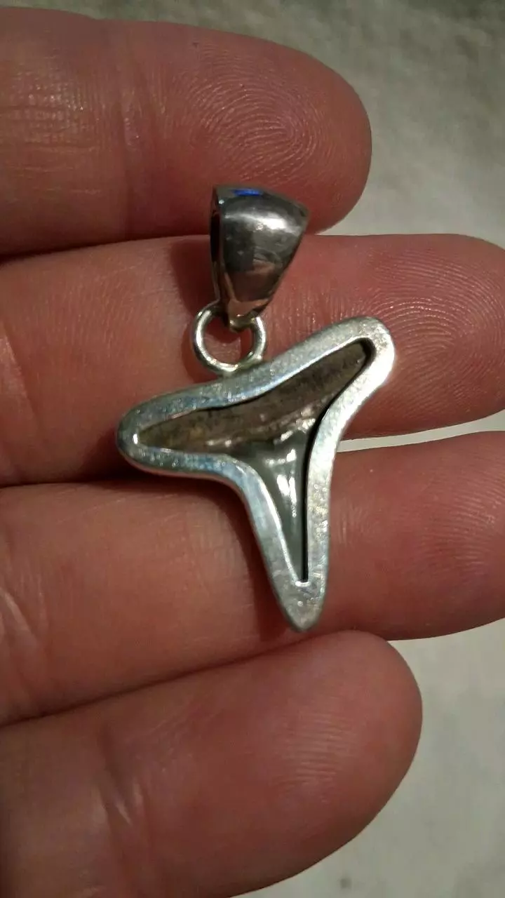 free_shipping/Charles Albert shark tooth pendant-1