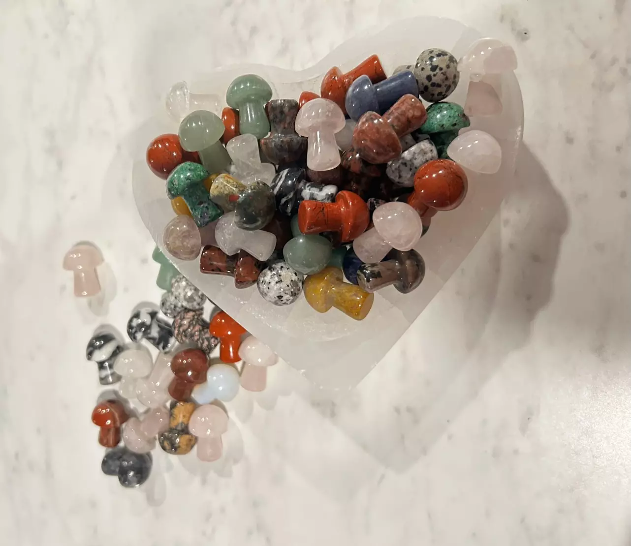 plant/5 Mini Mushies - Intuitive pick-0