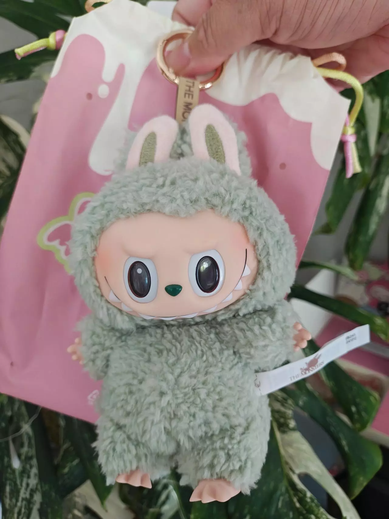 plant/Open Box Green Grape, new never used-0