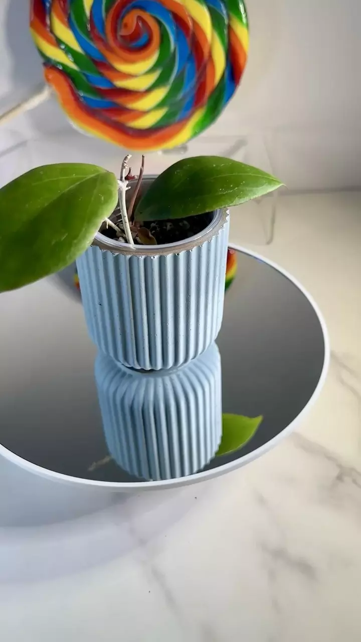 plant/RHM 2401-0