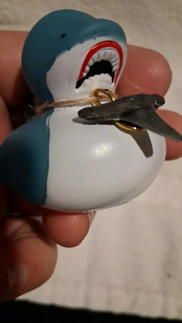 free_shipping/Shark rubber Ducky-2