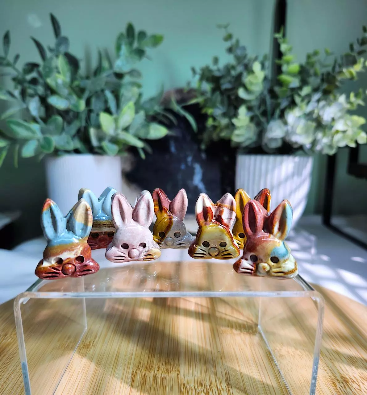 plant/Alashan agate bunny face-1