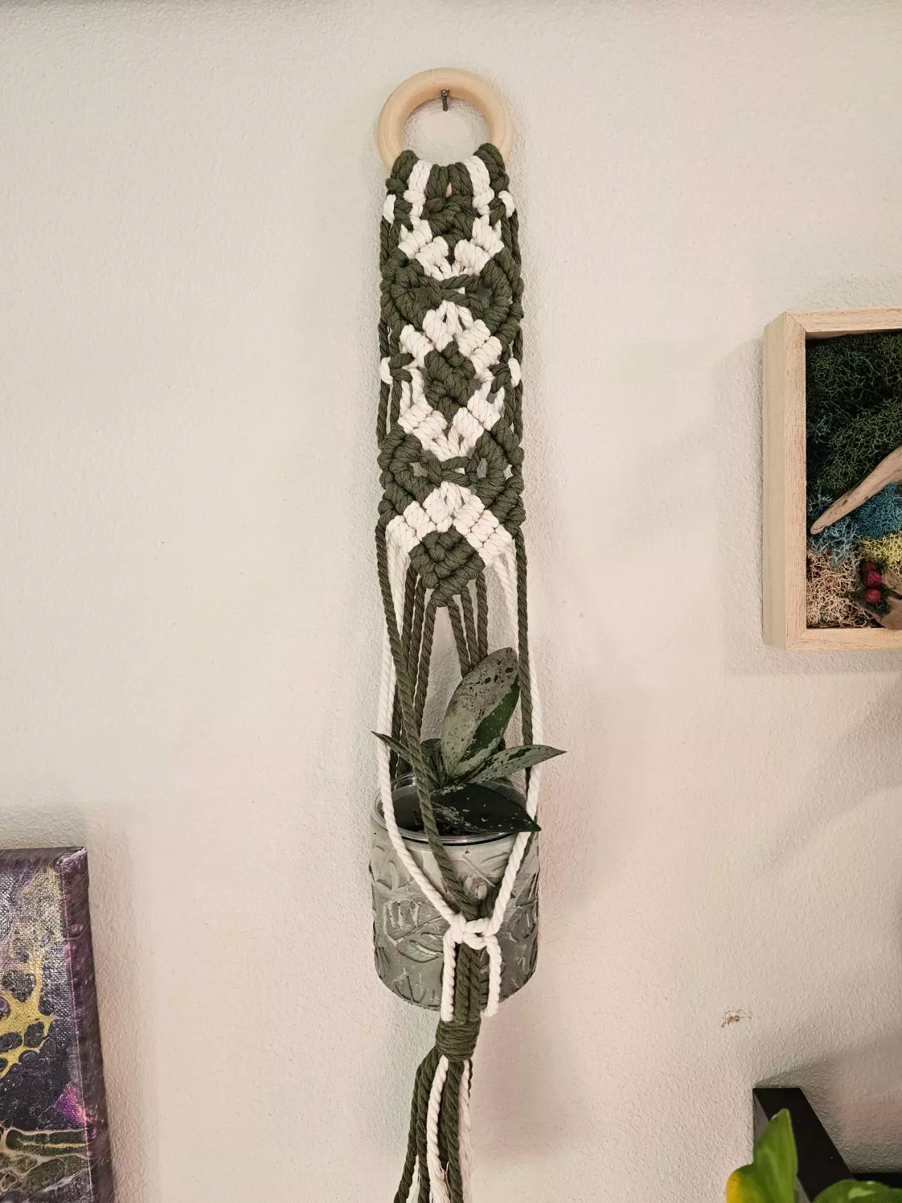 plant/Diamond wall hanger-1