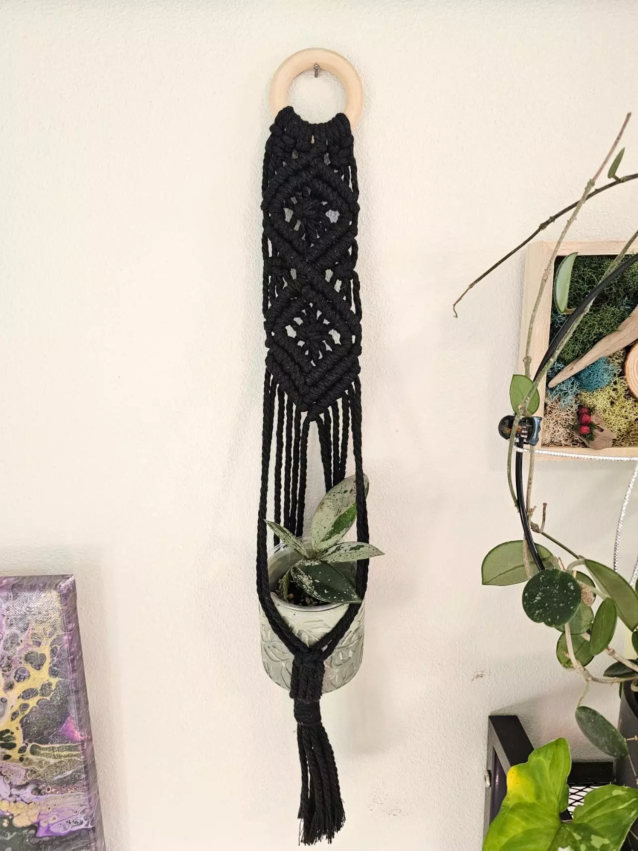 plant/Diamond wall hanger-0