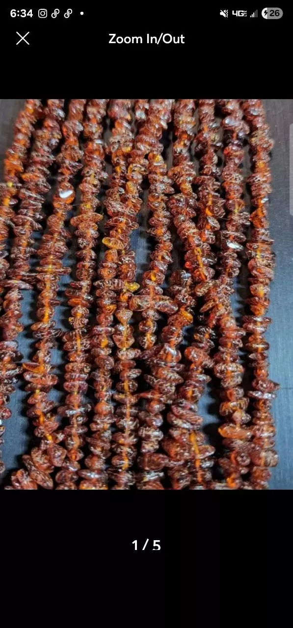 plant/Amber Strand-0