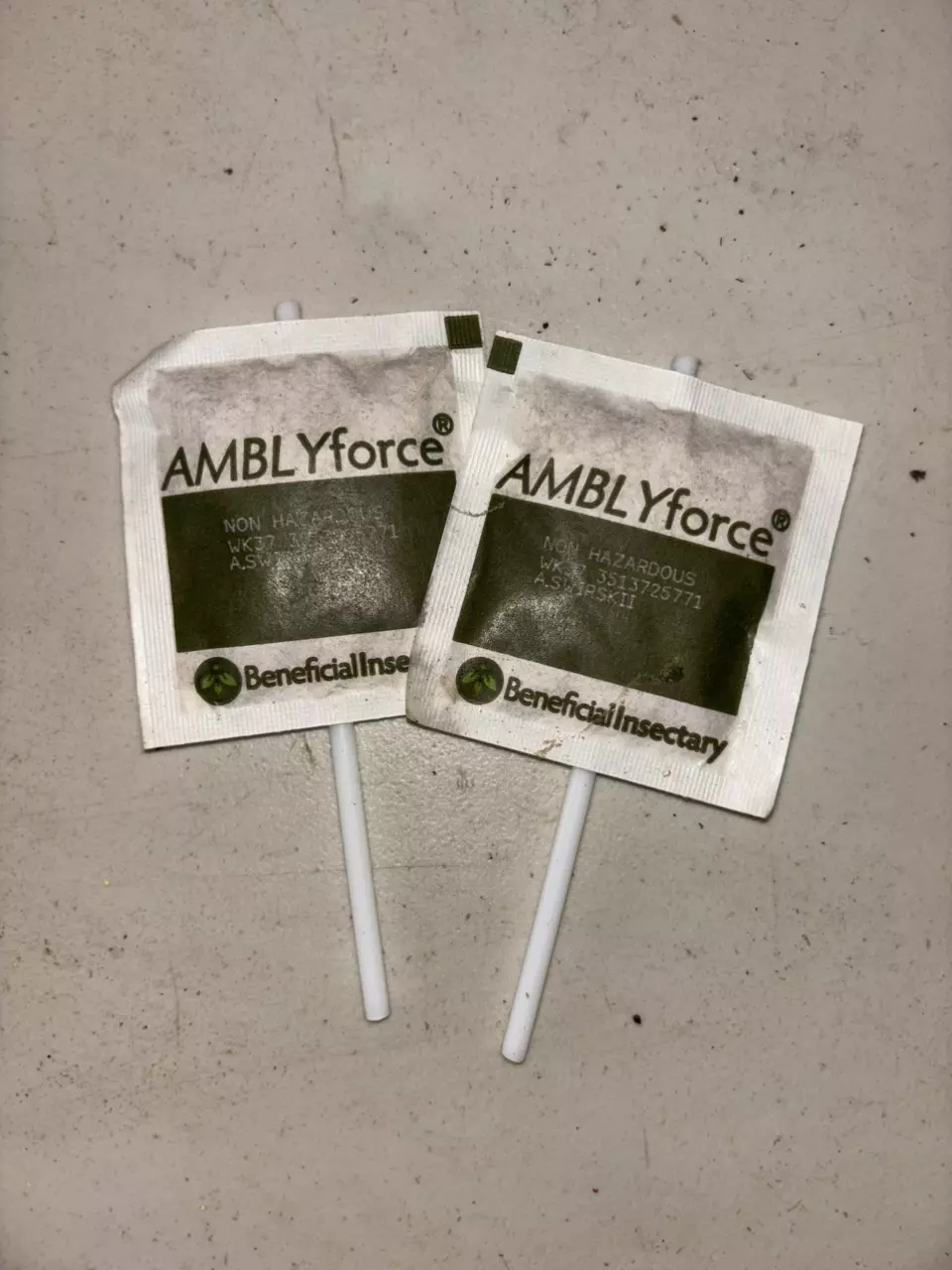 free_shipping/Beneficial bugs !-0