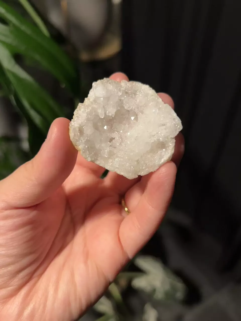 plant/Natural Quartz Geode-0