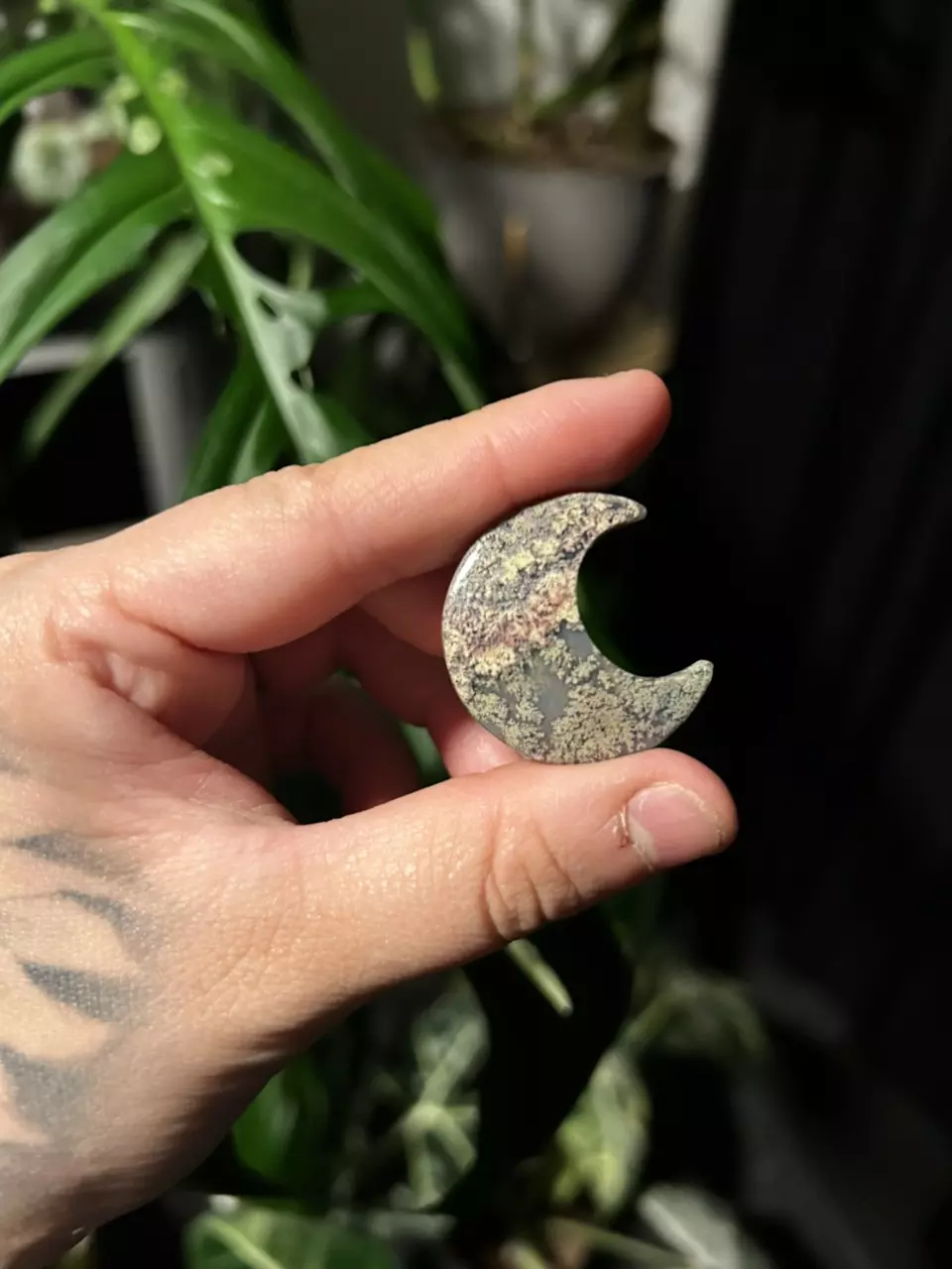 plant/High Quality Moss Agate Moon-0