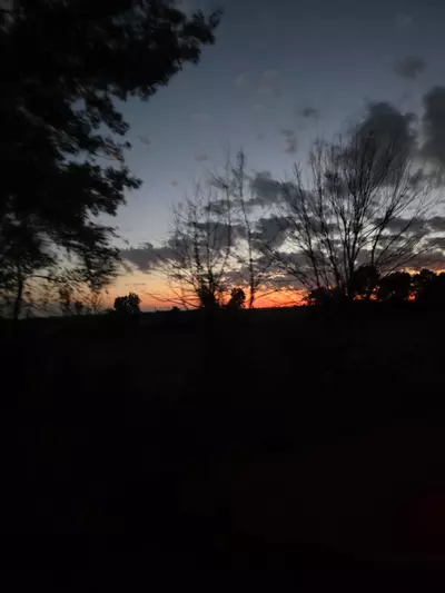 plant/UPS 2 day ship-0-thumbnail