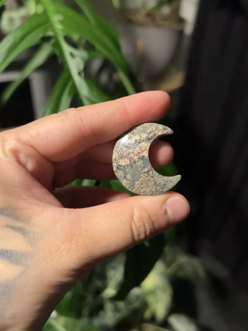 plant/High Quality Moss Agate Moon-1