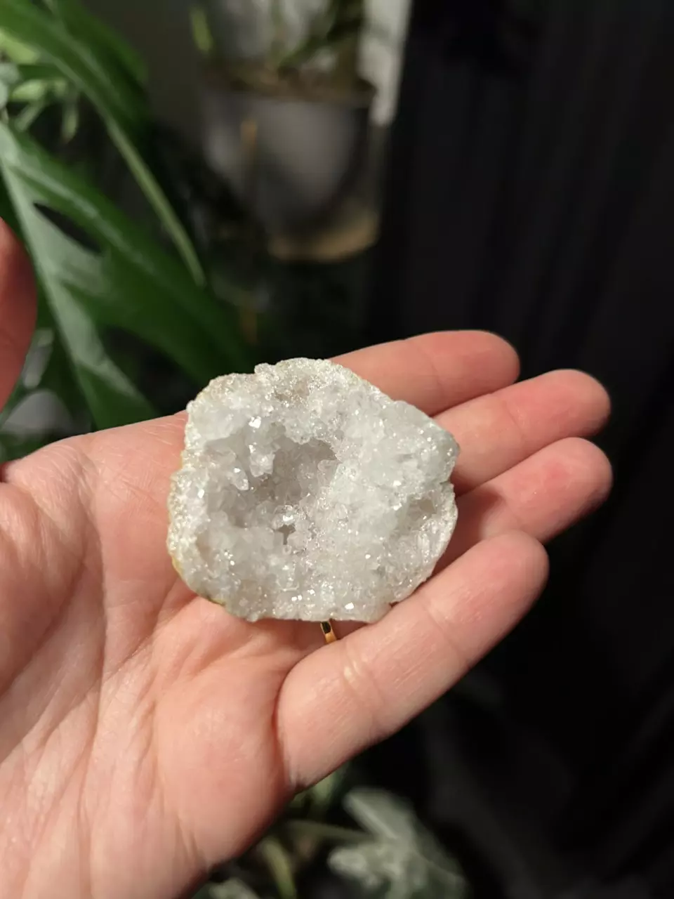plant/Natural Quartz Geode-1