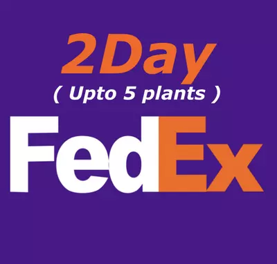 heat_pack/FedEx 2Day upto 5 plants only-0-thumbnail