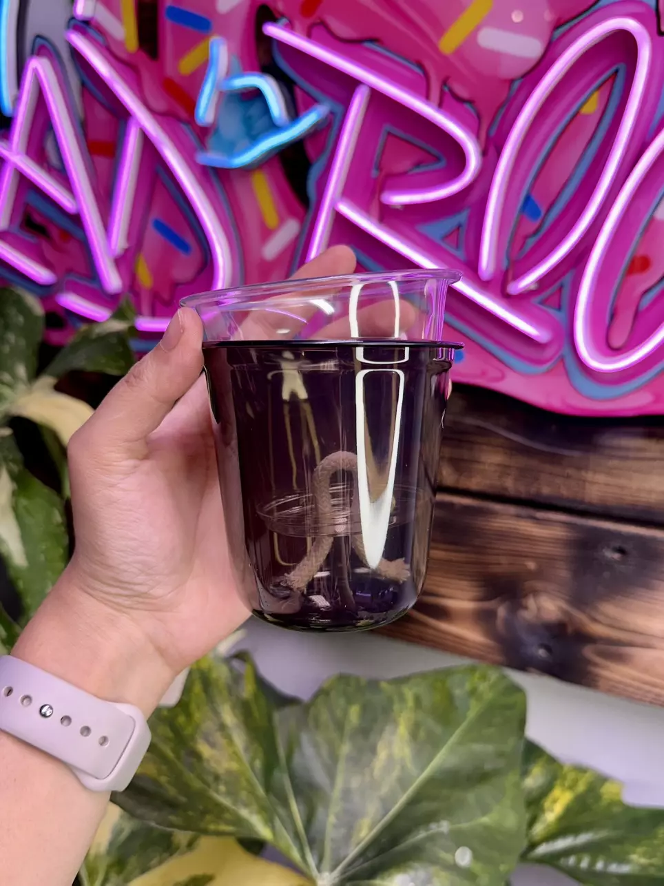 plant/3 Black self watering cups - small-1