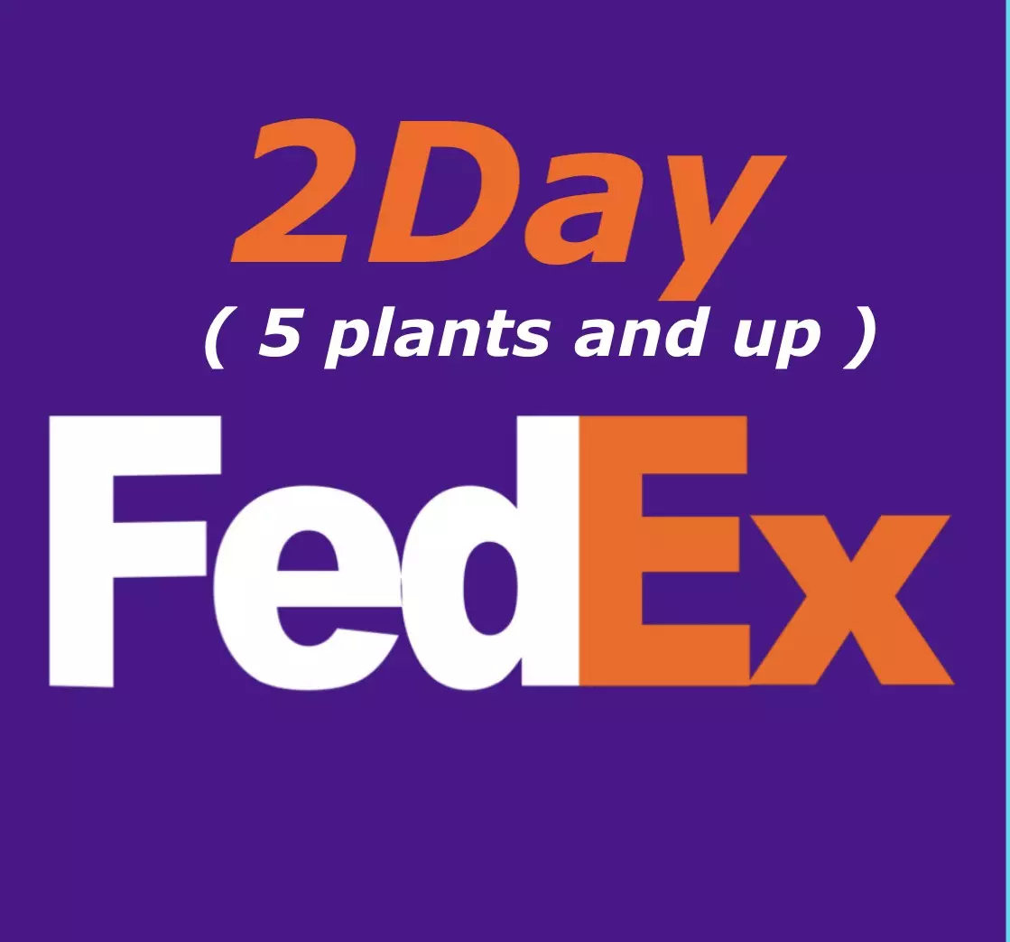shipping_upgrade/FedEx 2Day 5 plants and up-0