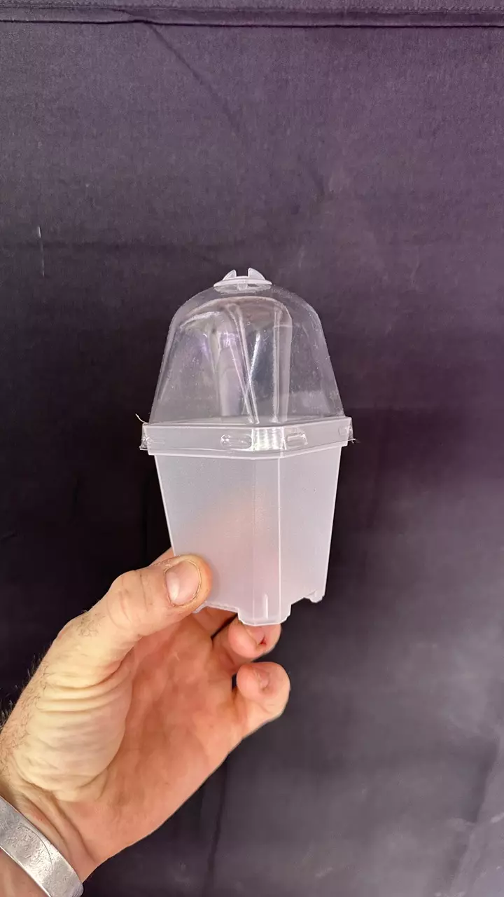 free_shipping/Clear 3” Nursery Pot W/ Humidity Dome - 5 Pack-0