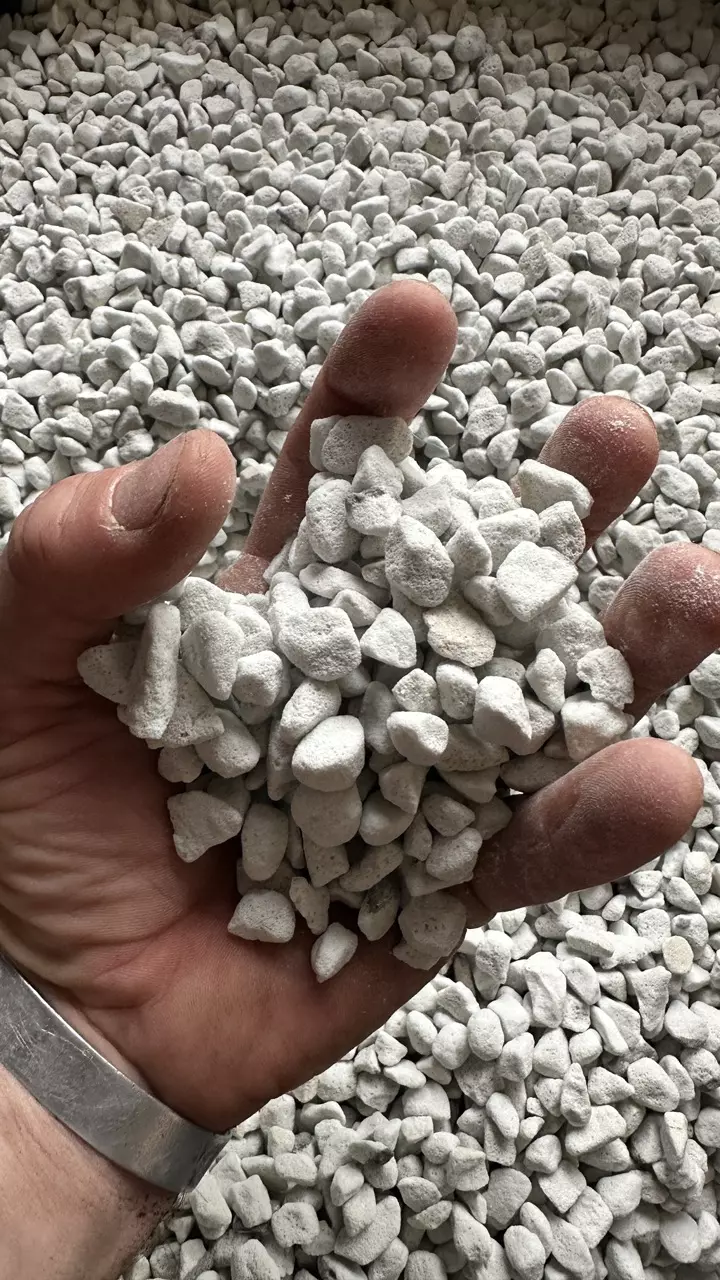 free_shipping/Large Perlite - 1QT Bag-0
