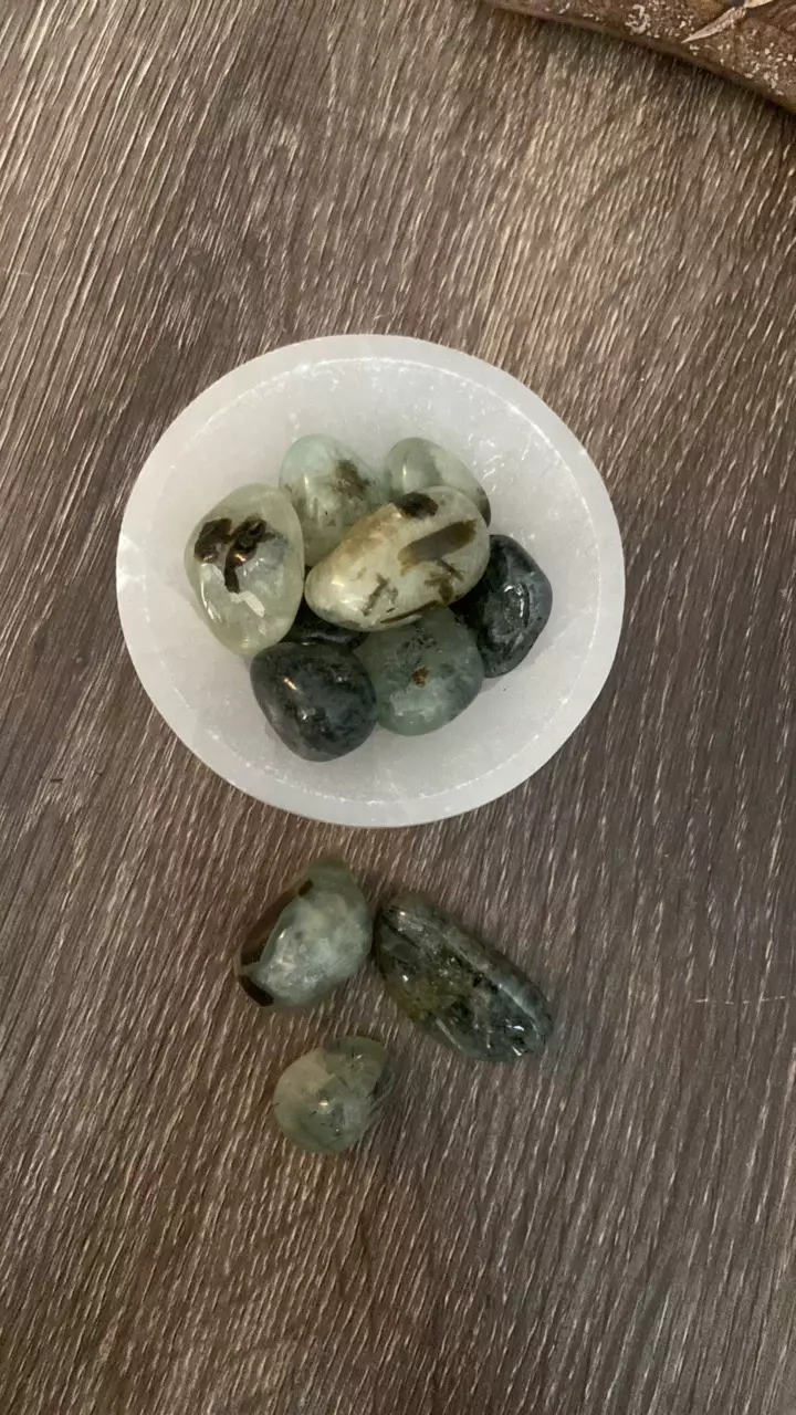 plant/Prehnite Polished Tumbled Crystals-0