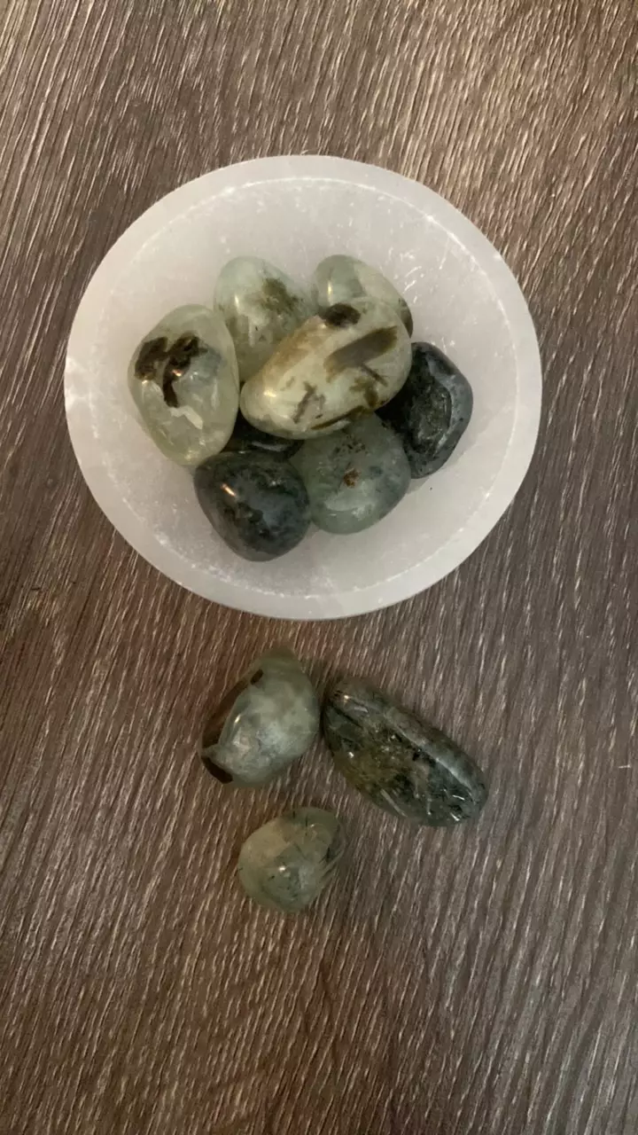 plant/Prehnite Polished Tumbled Crystals-1