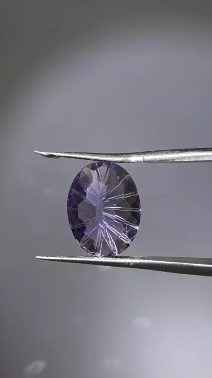 plant/Fantasy Cut Amethyst Brazil 5.98-0