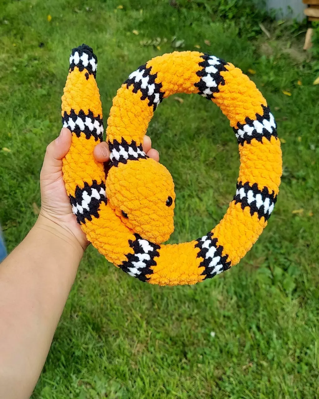 plant/Rattle Snake in bright yellow-0