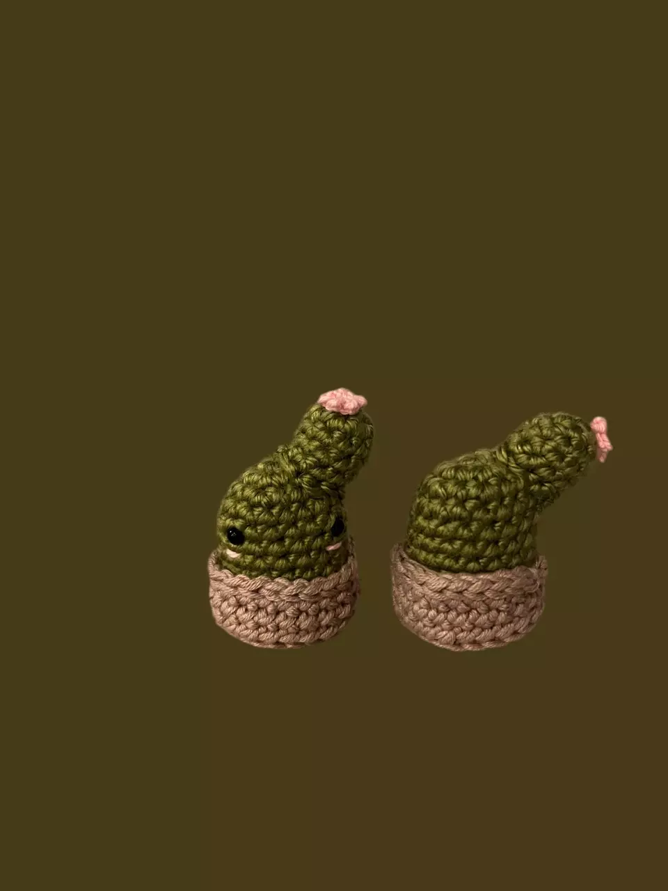 plant/Plush Cactus-0