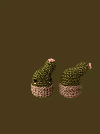 plant/Plush Cactus-0-thumbnail
