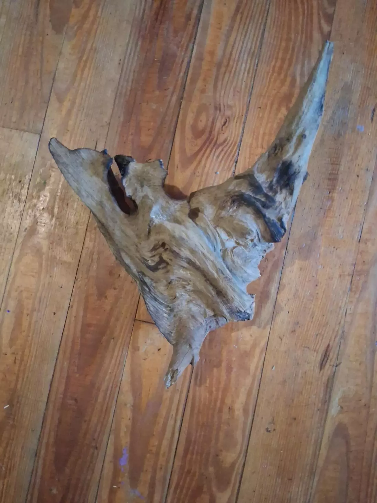 plant/Driftwood daggger-0