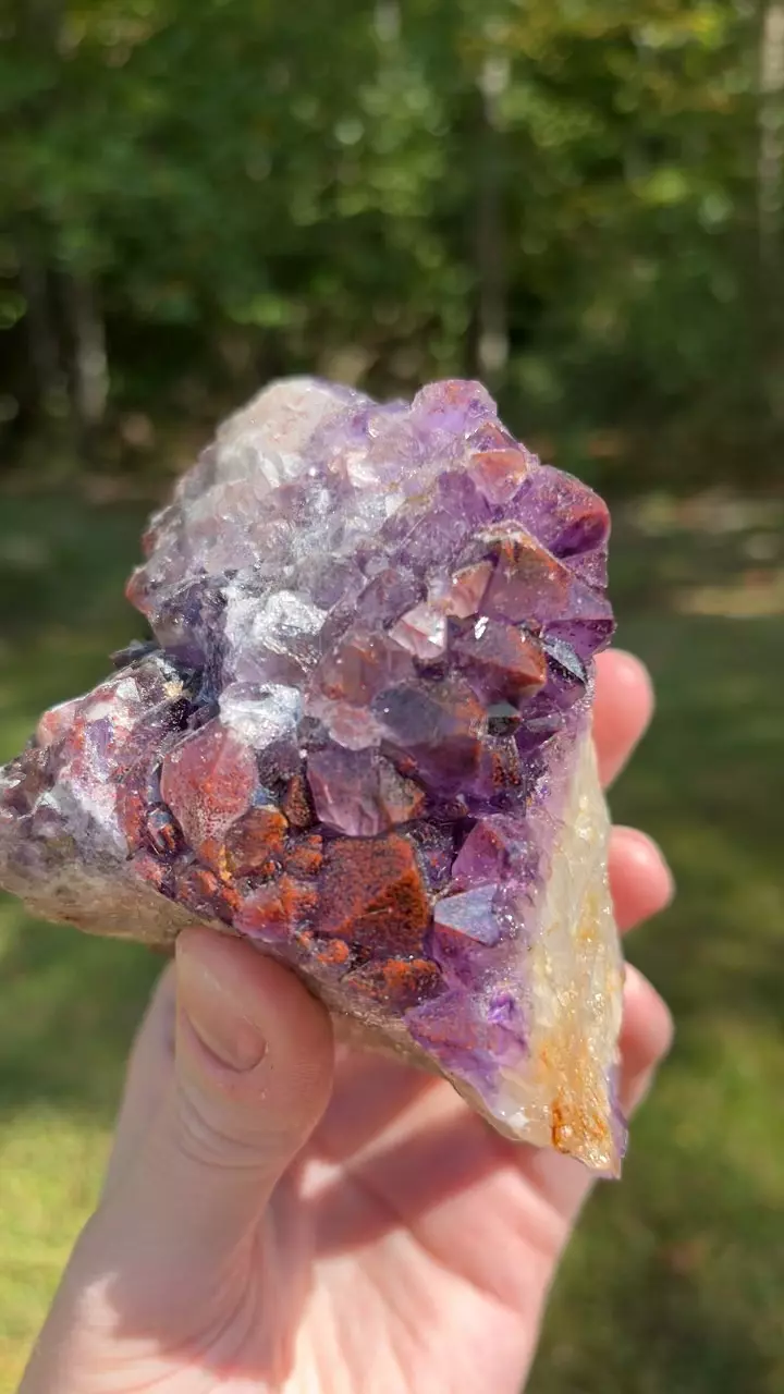 plant/Thunder Bay Amethyst-0