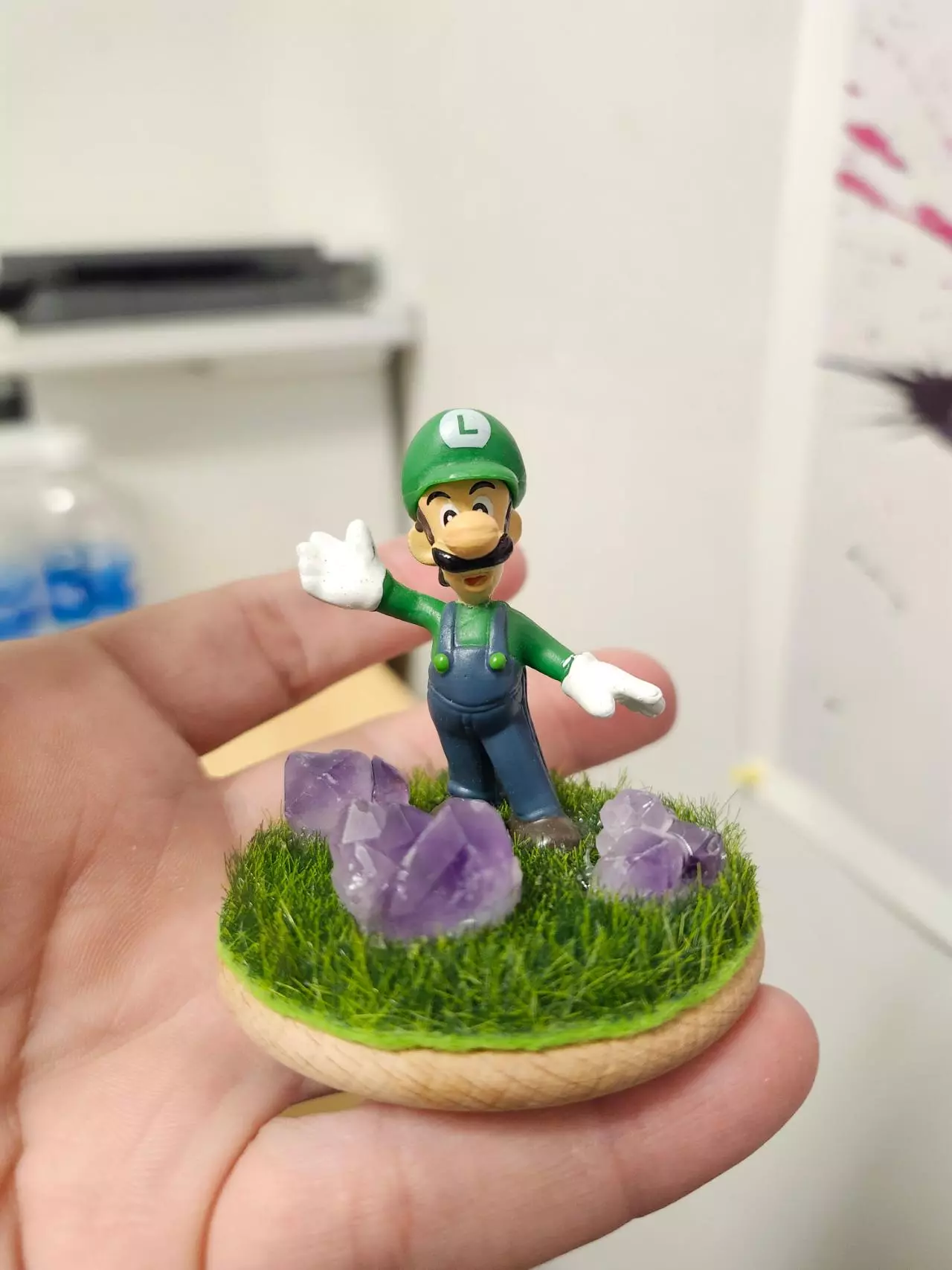 plant/Luigi in amethyst garden-1