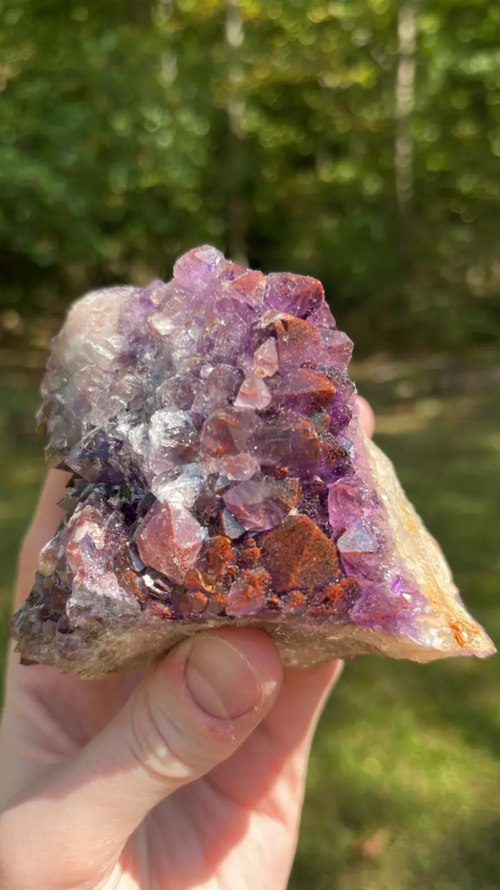 plant/Thunder Bay Amethyst-1