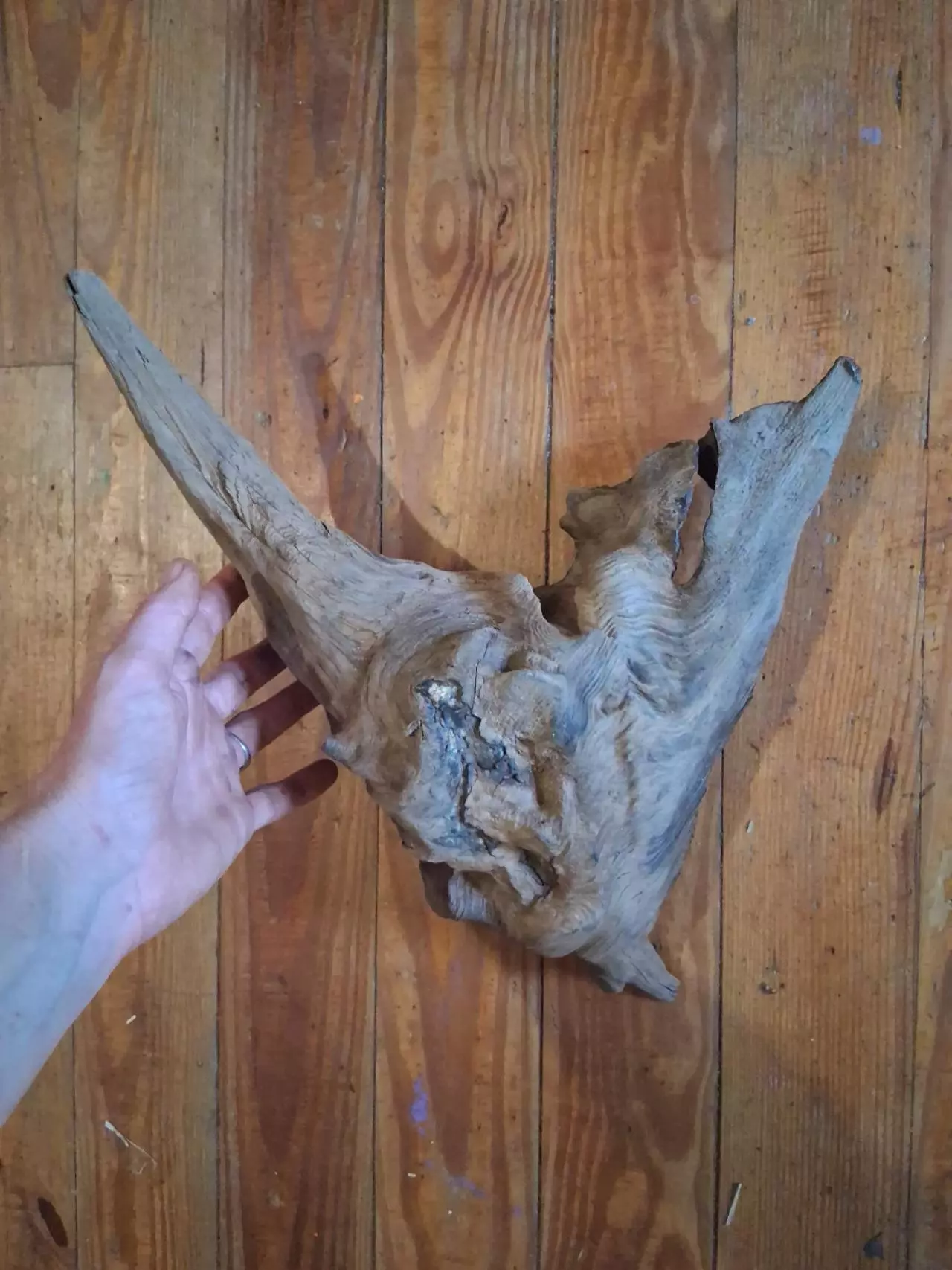 plant/Driftwood daggger-1