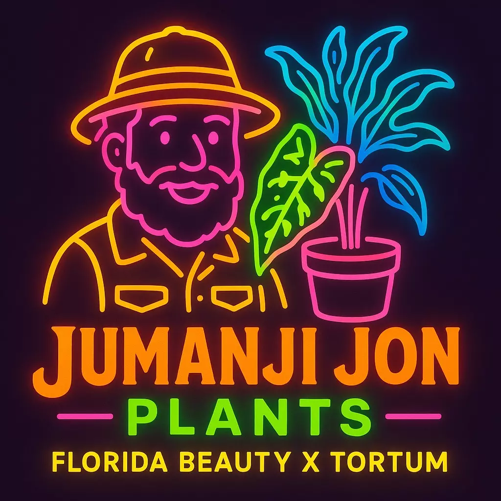 plant/Philodendron Florida Beauty x Tortum TC-0