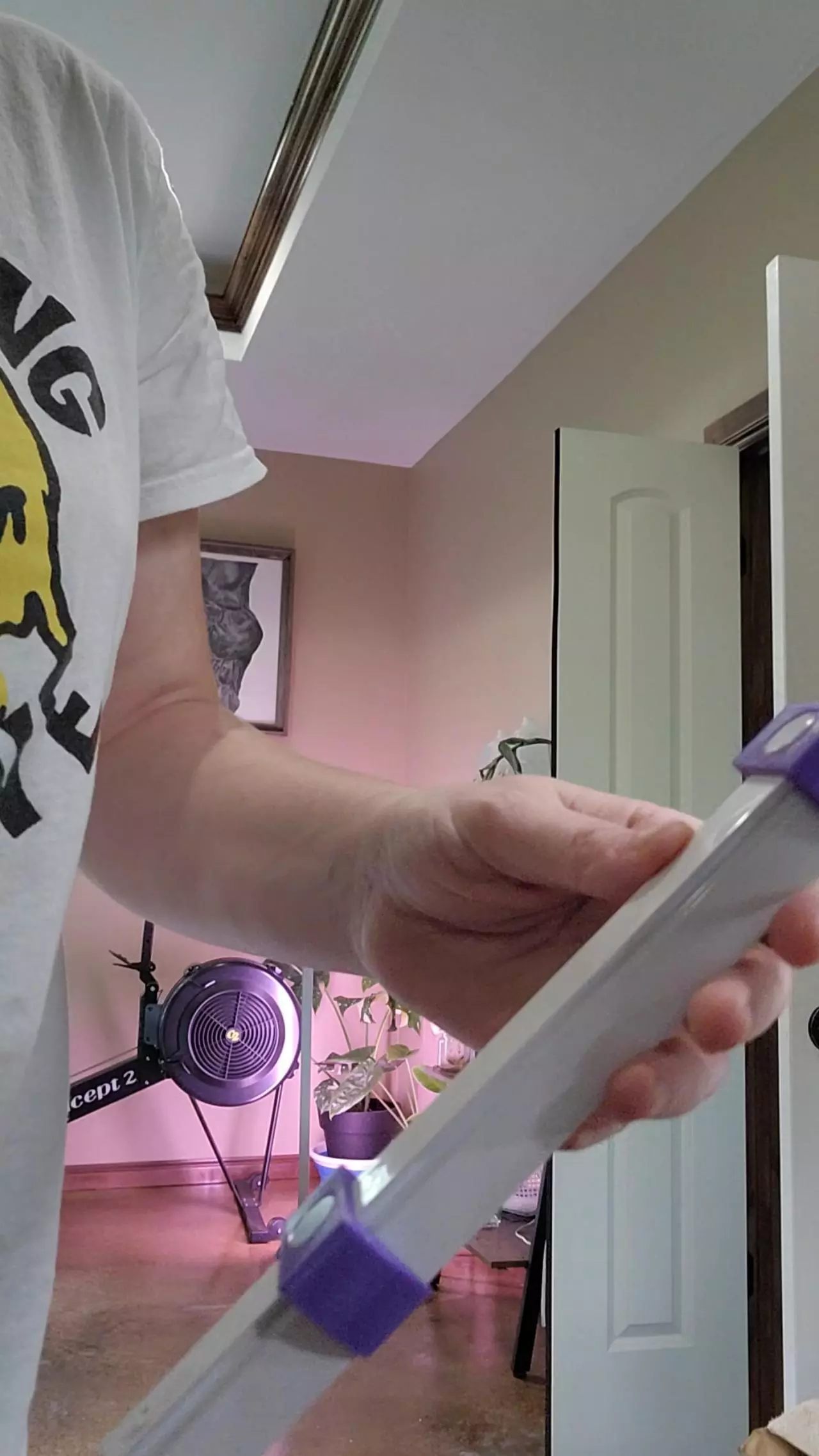 plant/Barrina magnetic light mount (2pk) mount only-1