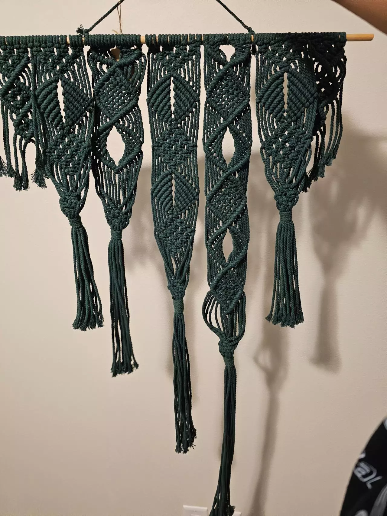 plant/Teal wall hanging-0