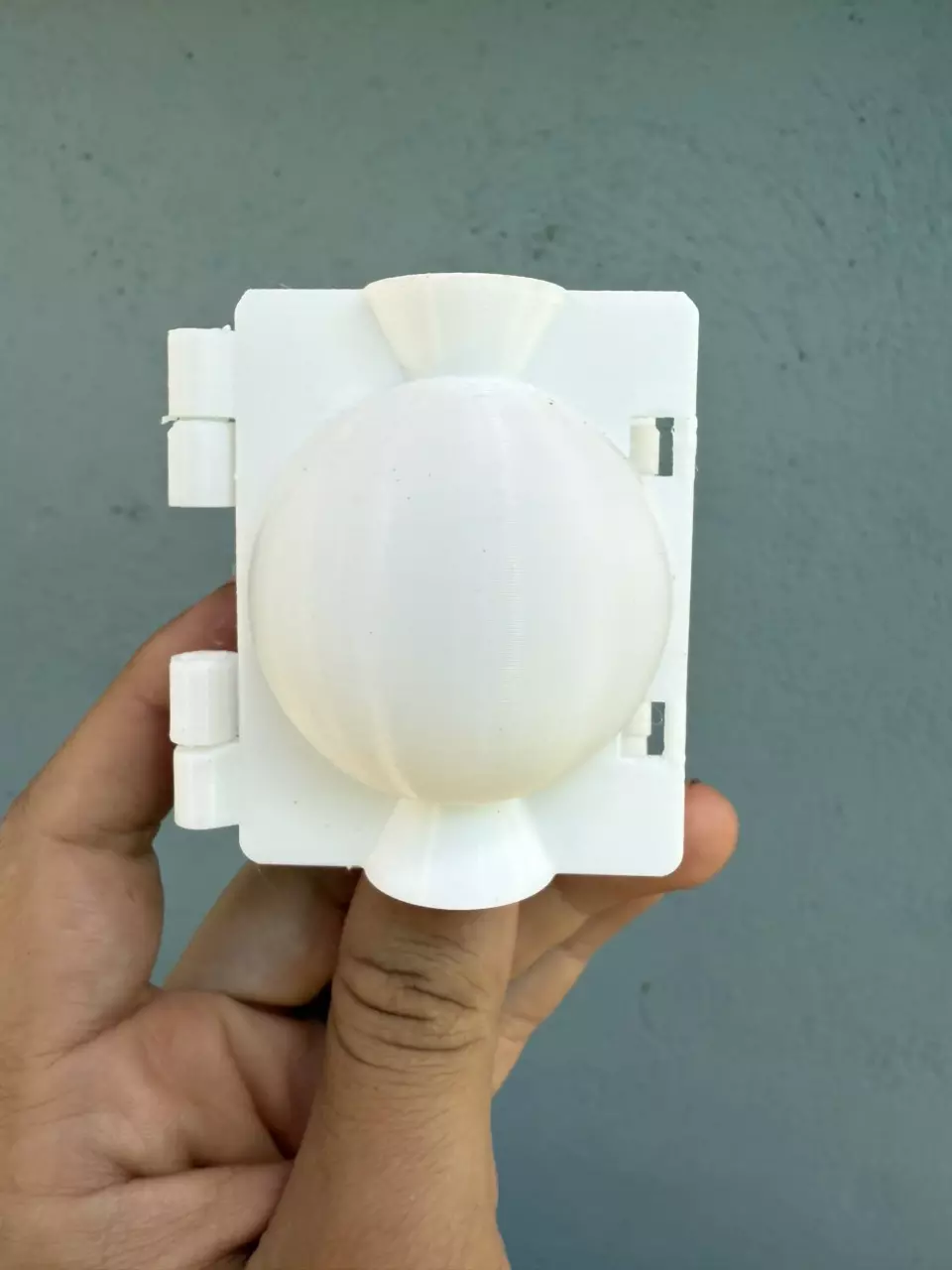 plant/Small Rooting Ball-1